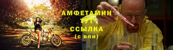 амф Гусь-Хрустальный
