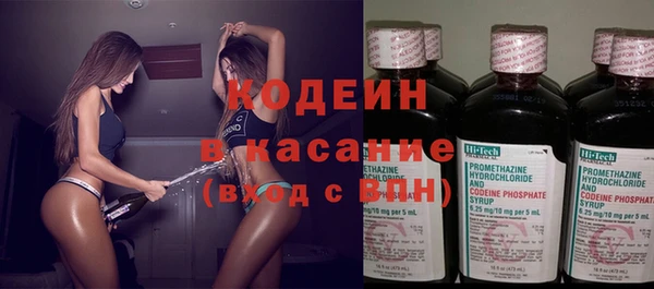 амф Гусь-Хрустальный