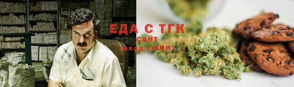 амф Гусь-Хрустальный