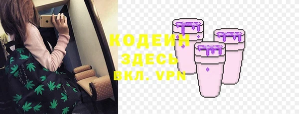 амф Гусь-Хрустальный