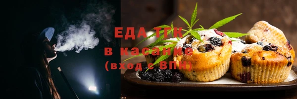 амф Гусь-Хрустальный