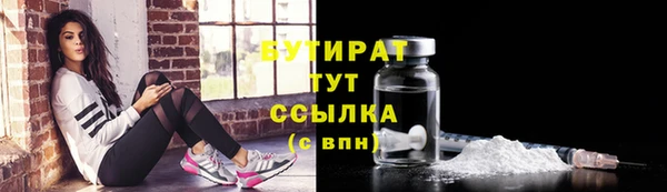 амф Гусь-Хрустальный