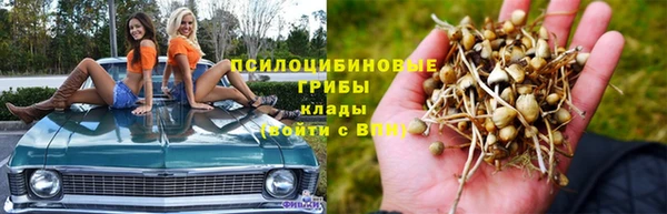 амф Гусь-Хрустальный