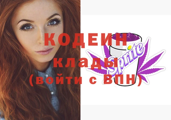 амф Гусь-Хрустальный