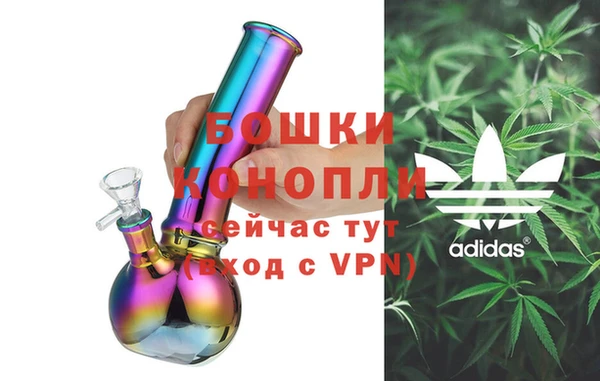 амф Гусь-Хрустальный